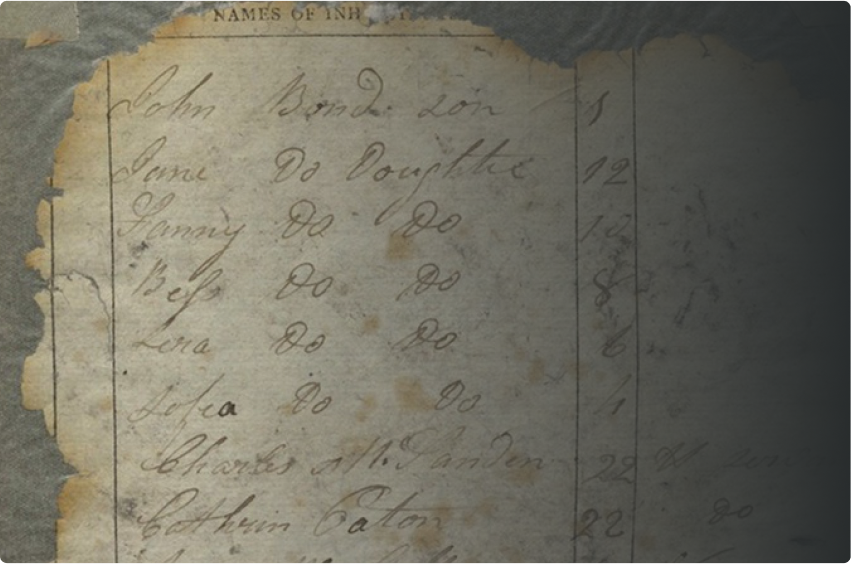 Population Hub Image